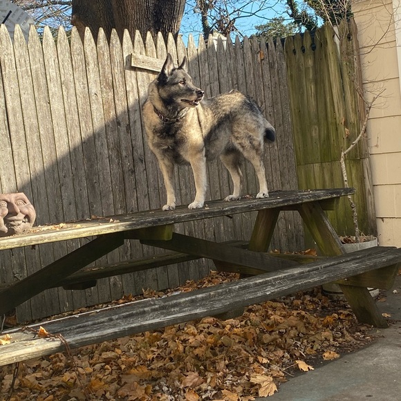 Meet your Posher, Nicole - Picture 7 of 16